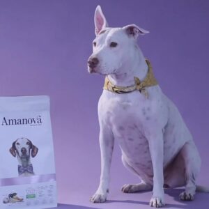 Foto de perrito con alimento como medio de publicidad.