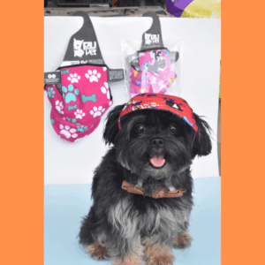 Accesorios