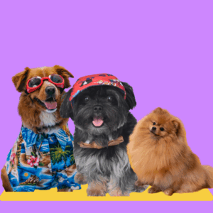 Perros